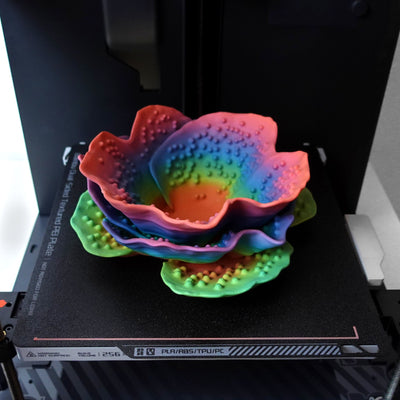 RENIFORMIS CORAL - קערה בעיצוב אלמוגים