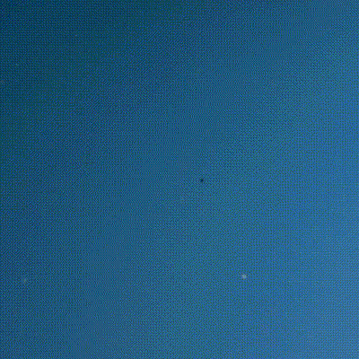 RENIFORMIS CORAL - קערה בעיצוב אלמוגים