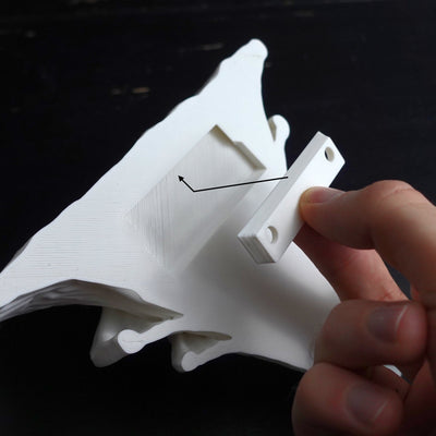 צדף ורוד-Pleurotus djamor- מדף פטריה