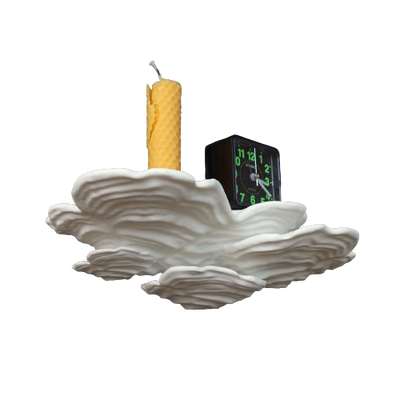 Ostrea Fungus -מדף פטריה