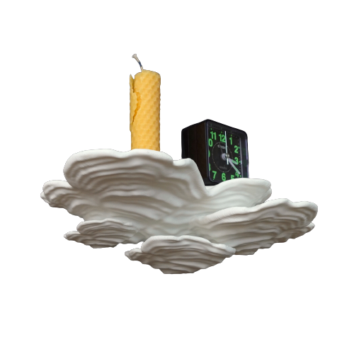Ostrea Fungus -מדף פטריה