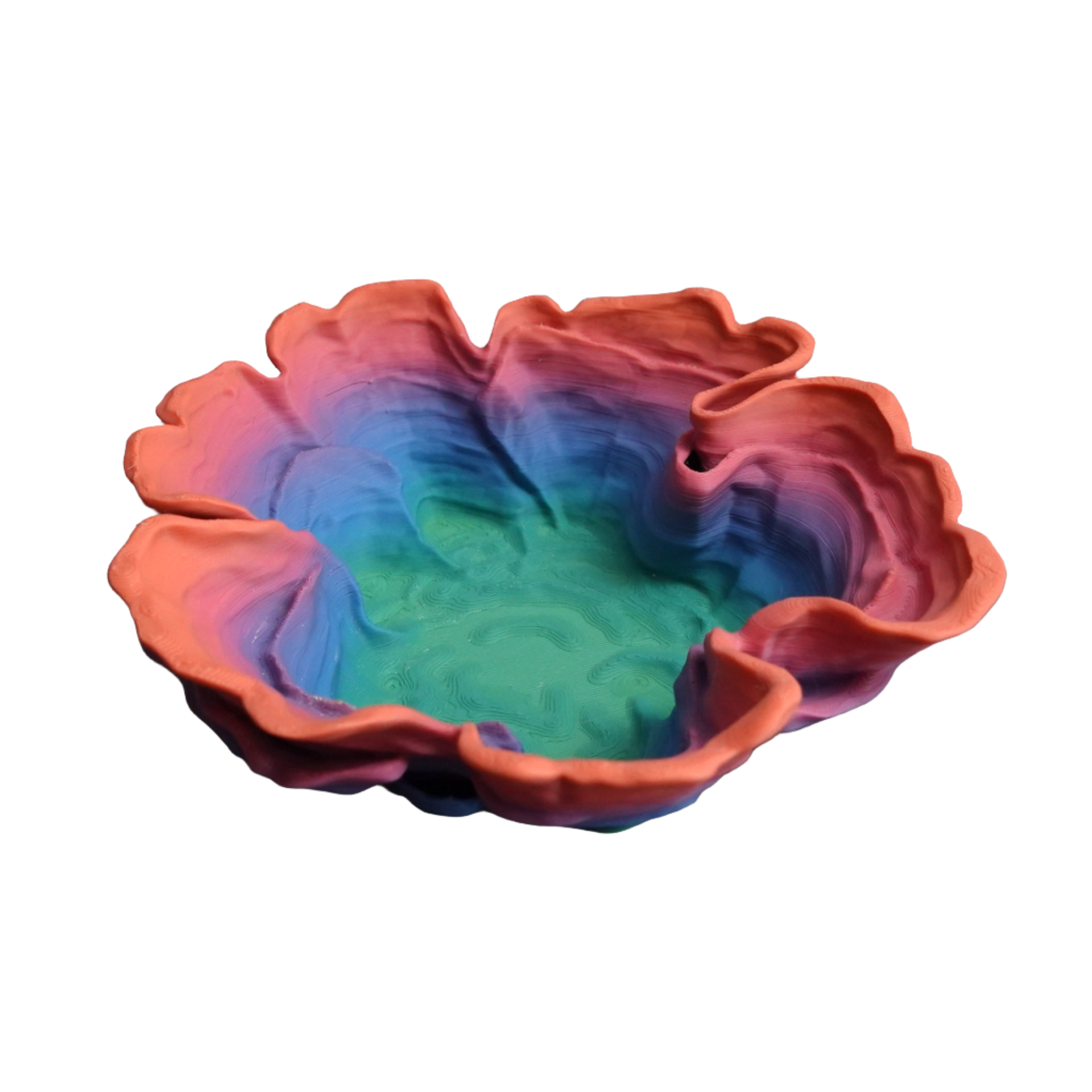 "HIRSUTUM FUNGUS" -קערה בעיצוב פטריות