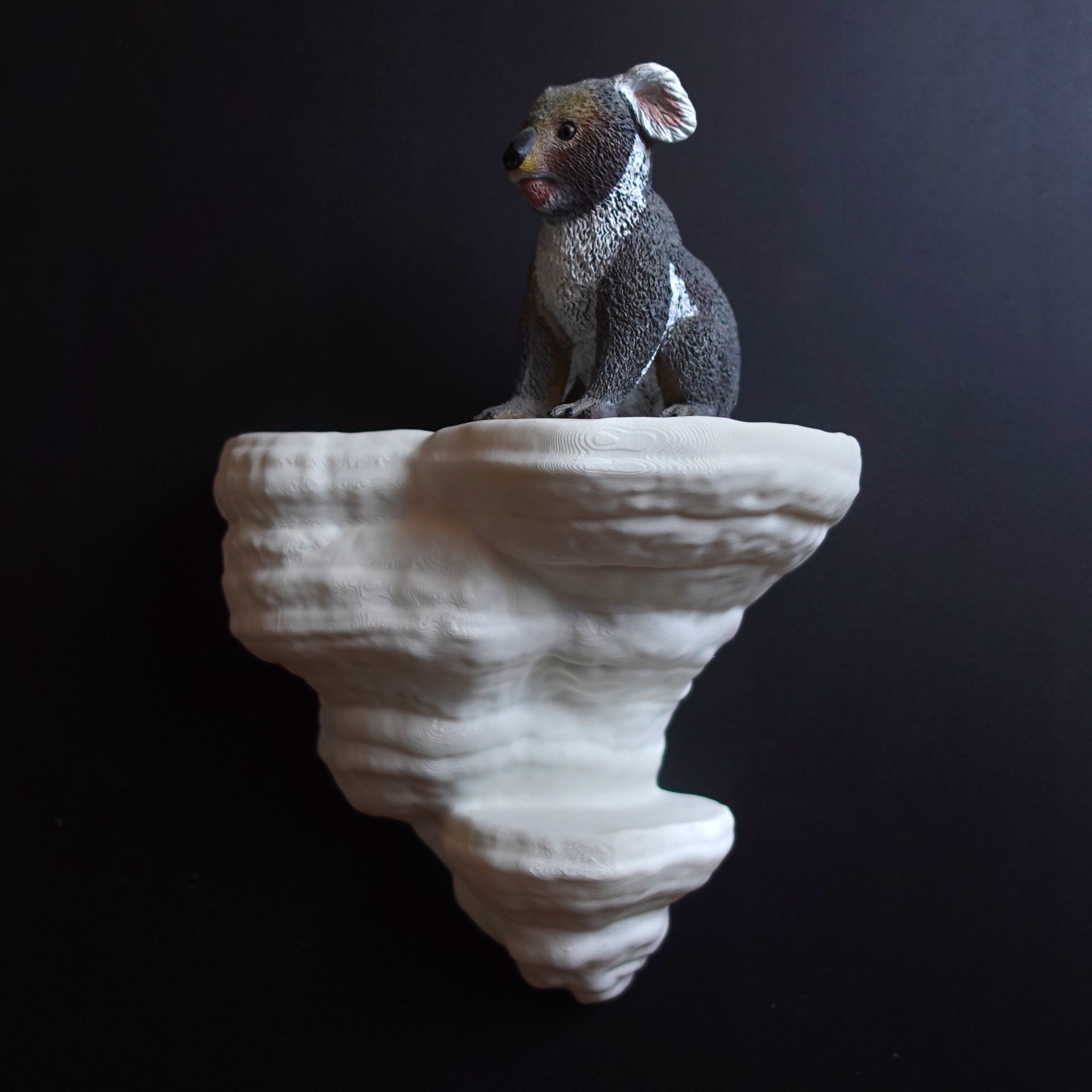 FOMENTARIUS FUNGUS  - מדף פטריה