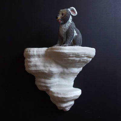 FOMENTARIUS FUNGUS  - מדף פטריה