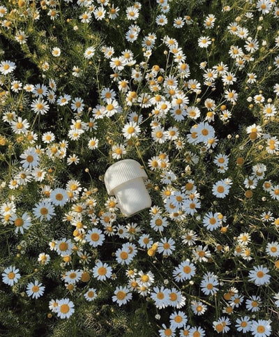 מיני מנורה לימה LIMA