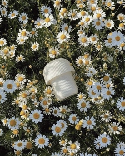 מיני מנורה לימה LIMA