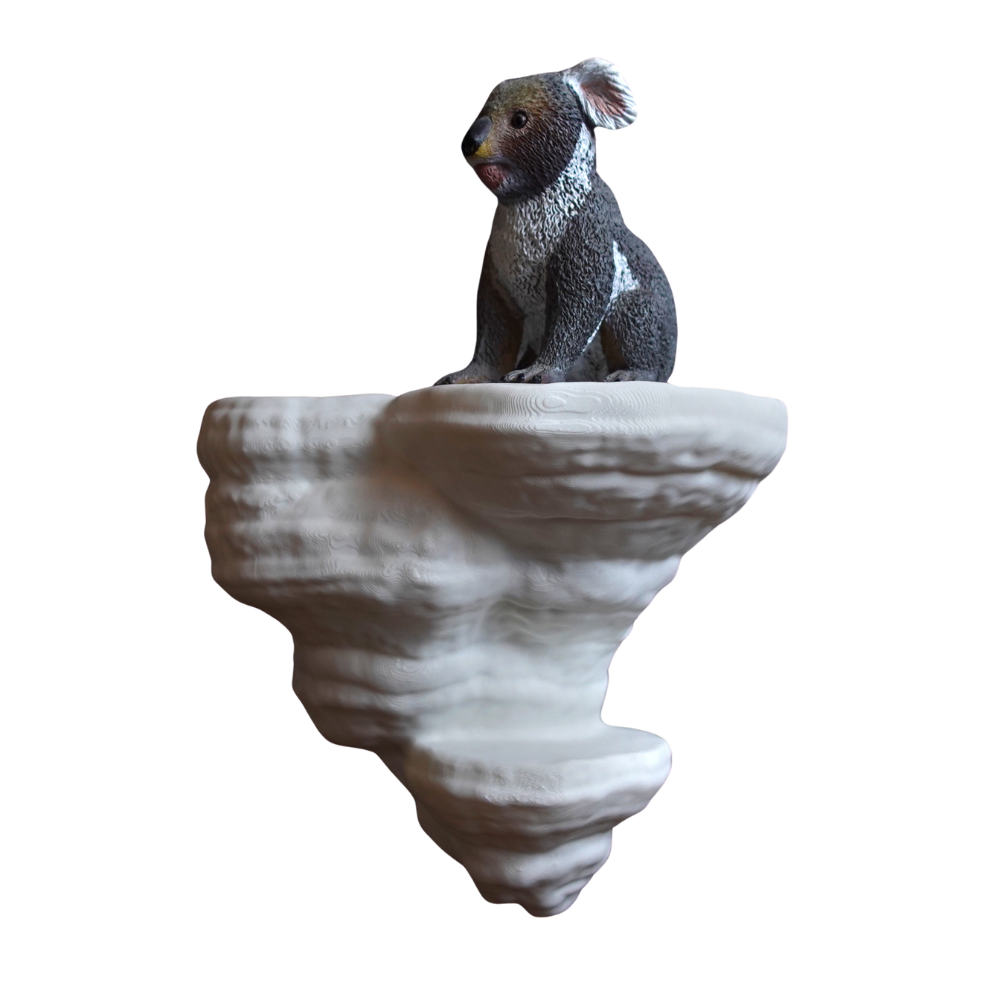 FOMENTARIUS FUNGUS  - מדף פטריה