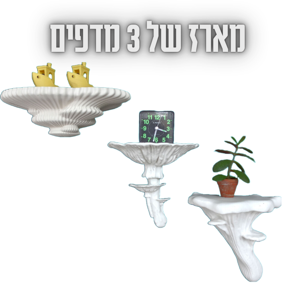 מארז  חסכון של 3 מדפים