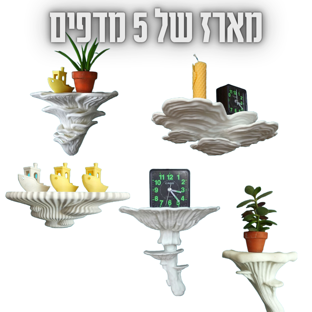 מארז של 5 מדפים