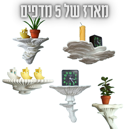 מארז של 5 מדפים