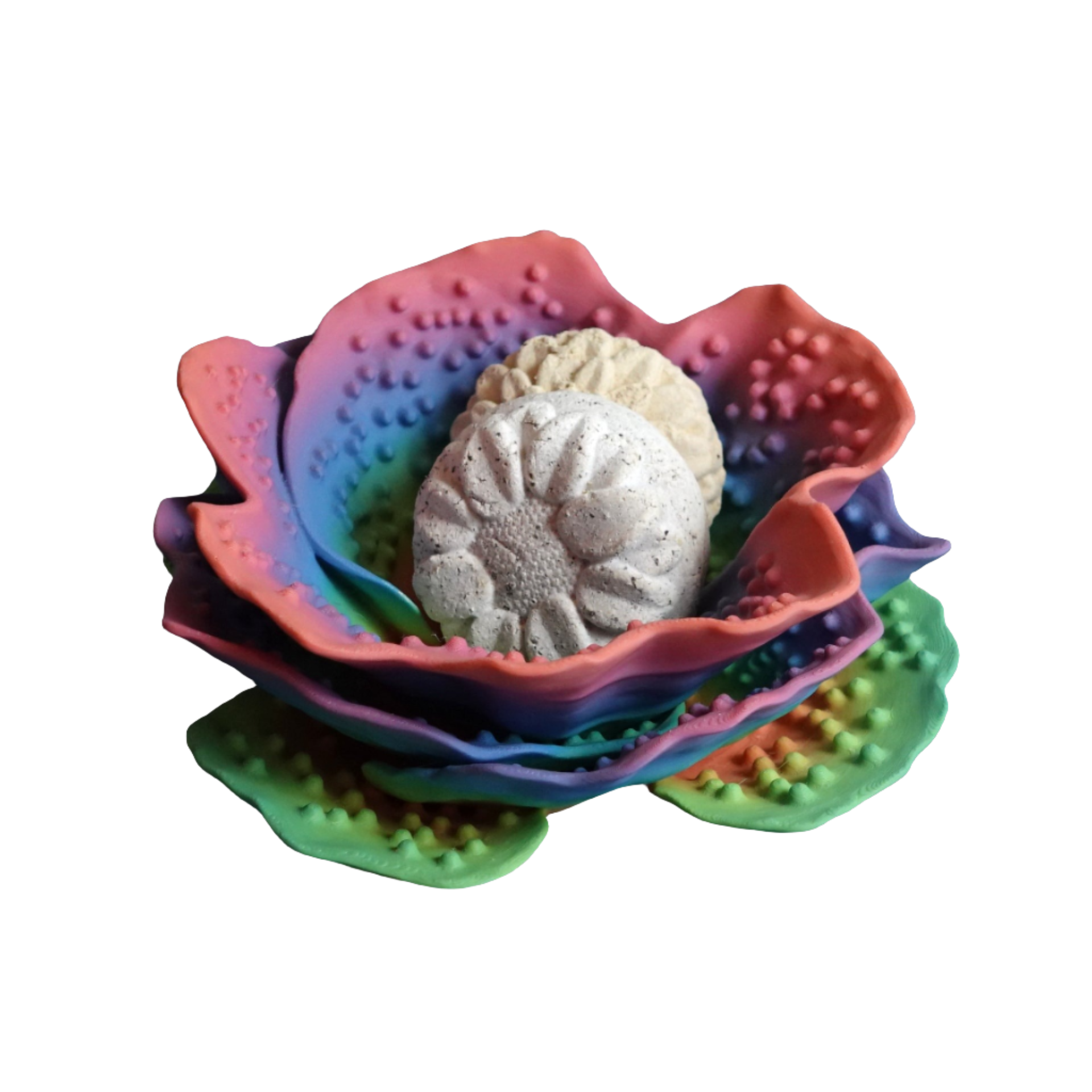 RENIFORMIS CORAL - קערה בעיצוב אלמוגים